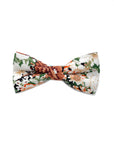 Orange Kids Floral Pre-Tied Bow Tie PEACH MYTIESHOP-Kids Floral Baby Bow tie PEACH Color: Orange and Black Strap is adjustablePre-Tied bowtieBow Tie 10.5 * 6CM Great for Prom Dinners Interviews Photo shoots Photo sessions Dates Wedding Attendant Ring Bearers Fits toddlers and babies. Evabder baby ow tie toddler bow tie floral for wedding and events groom groomsmen flower bow tie mytieshop ring bearer page boy bow tie white bow tie white and blue tie kids bowtie floral Adjustable wedding attire f