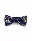 Kids Floral Pre-Tied Bow Tie LAKE-Kids Floral Pre-Tied Bow Tie Your little one will be the star of the show with this LAKE Kids Floral Pre-Tied Bow Tie. In a beautiful floral design, this bow tie will have them looking their best for any occasion. Whether it's a family event, wedding or school function, they'll be sure to make a lasting impression. Mytieshop's children ties are the perfect finishing touch to any outfit. Strap is adjustablePre-Tied bowtieBow Tie 10.5 * 6CM-Mytieshop